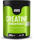 Progenix Sportnahrung - ESN Creatine Monohydrat Creapure